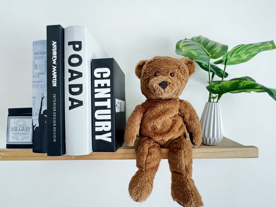 水擺夷公共空間