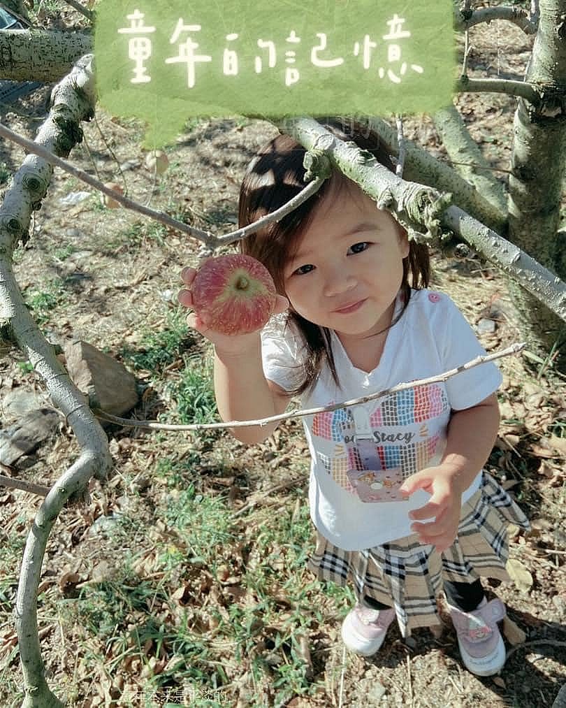 清境水擺夷景觀民宿 環境照片